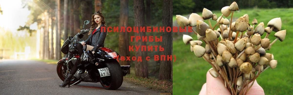 прущий лед Алзамай