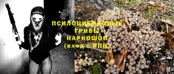 МДПВ Струнино