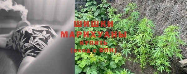 прущие крисы Абаза