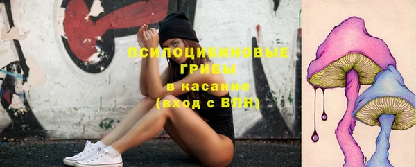 прущие крисы Алексеевка