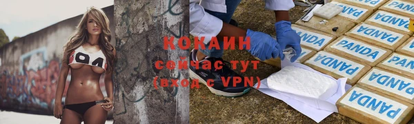 прущие крисы Алексеевка