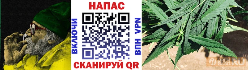 Бошки Шишки гибрид Касли